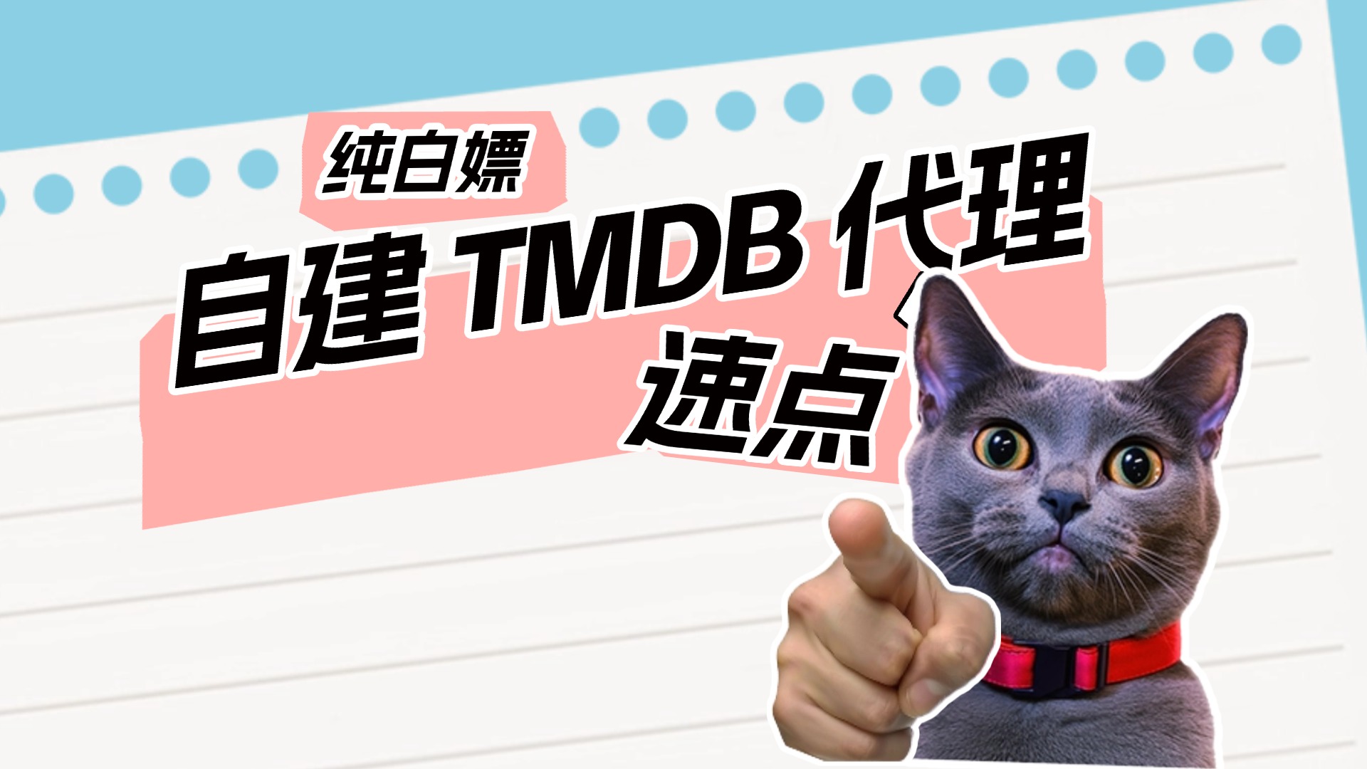 免魔法刮削：利用 Vercel 免费自建 TMDB 代理